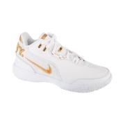 Nette Schoenen Nike Lebron Nxxt Gen