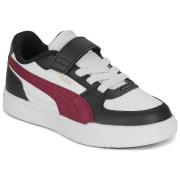 Lage Sneakers Puma Caven III AC+ PS
