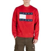 Sweater Tommy Hilfiger DM0DM22643