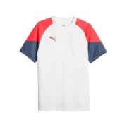 T-shirt Korte Mouw Puma Individualcup