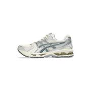 Lage Sneakers Asics Gel-Kayano 14 Birch Dark Pewter