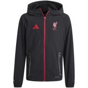 Windjack adidas Lfc C Vt J Y