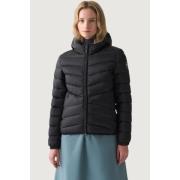 Donsjas Colmar IN2522192YO 99