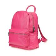 Handtas Vera Pelle P16