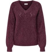 Trui Jacqueline De Yong Jdyaspen Life L/S V-Neck Pullover Knt 15359750
