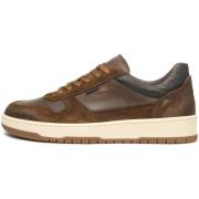 Lage Sneakers NeroGiardini Velour Noxos Delave' Dollarino 367 Tr Fo
