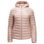 Windjack JOTT PF22WDOW01471