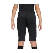 Korte Broek Nike Academy 23