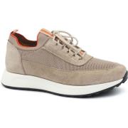 Laarzen Suitable Sneaker Suede Beige
