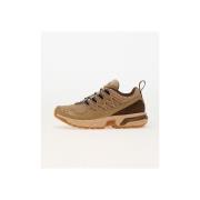 Lage Sneakers Salomon -