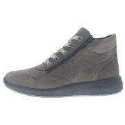 Hoge Sneakers Solidus Halea