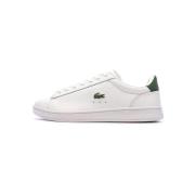 Lage Sneakers Lacoste -