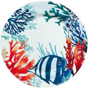 Beeldjes Signes Grimalt Vis Platte Plaat Met Geschenkdoos