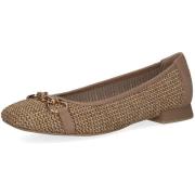 Ballerina's Caprice -