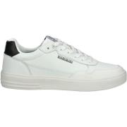 Lage Sneakers Napapijri Sneaker