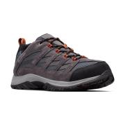 Wandelschoenen Columbia Crestwood