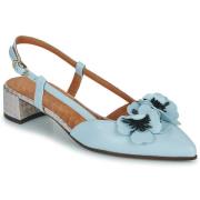 Ballerina's Chie Mihara HEZEL