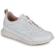 Lage Sneakers Geox D SUKIE 2.0