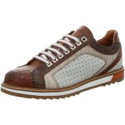 Lage Sneakers Exton -