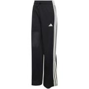 Broek adidas W Sta Seas Pt