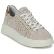 Lage Sneakers NeroGiardini E615273D-677