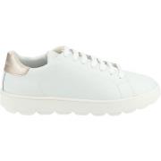 Lage Sneakers Geox Sneaker