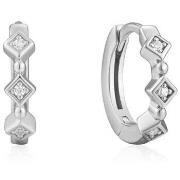 Oorbellen Ania Haie e02301h