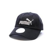 Pet Puma -