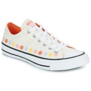 Lage Sneakers Converse CHUCK TAYLOR ALL STAR