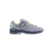 Wandelschoenen Lowa Innox Ii Evo Gtx Low