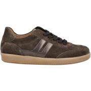 Lage Sneakers Gabor Sneaker