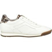 Lage Sneakers Gabor Sneaker
