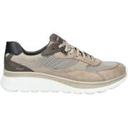 Lage Sneakers Geox Sneaker