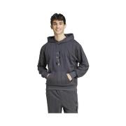 Sweater adidas Hoodie Seasonal Essentials Gris