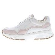 Lage Sneakers Xsensible Golden Gate Lady