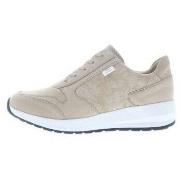 Lage Sneakers Finn Comfort Mori