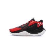 Basketbalschoenen Under Armour -