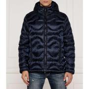 Windjack Paul &amp; Shark -