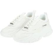 Lage Sneakers Steve Madden Sneaker
