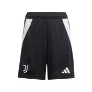 Korte Broek adidas -