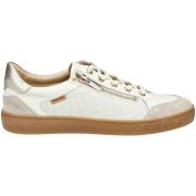 Lage Sneakers Pikolinos Sneaker
