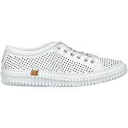 Lage Sneakers Andrea Conti Halfhoge schoenen