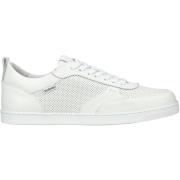 Lage Sneakers NeroGiardini Sneaker