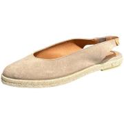 Ballerina's Verbenas -