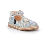 Ballerina's Aster Bimbo-2