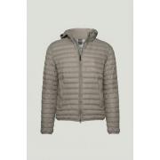 Donsjas Colmar 12458VX 751