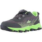 Lage Sneakers Lico -