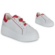 Lage Sneakers Tosca Blu CLARA