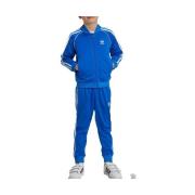Trainingspak adidas -
