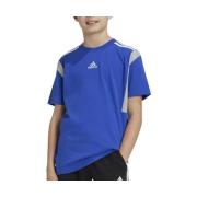 T-shirt Korte Mouw adidas -
